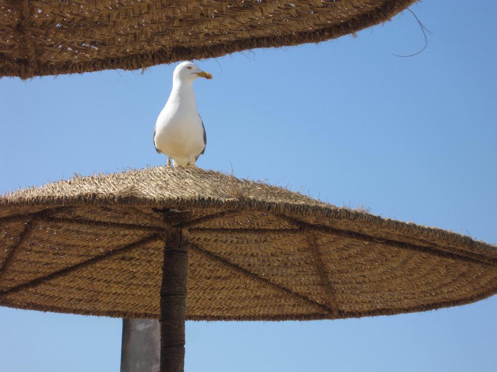 Hotel Riad Ben Atar Essaouira Buitenkant foto